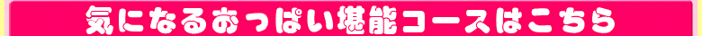 気になるおっぱい堪能コース